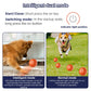 Interactive Smart Dog Toy Ball