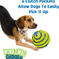 Fun Sounds for Playful Pets