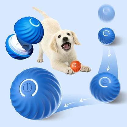 Interactive Smart Dog Toy Ball
