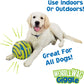 Fun Sounds for Playful Pets