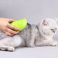 Steamy Pet Brush 3-in-1