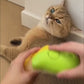 Steamy Pet Brush 3-in-1