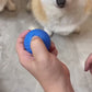 Interactive Smart Dog Toy Ball